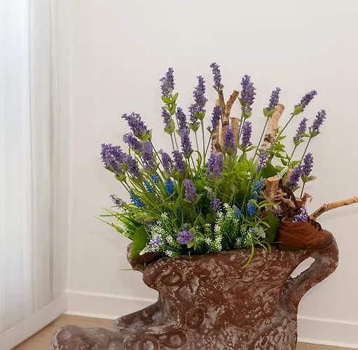 Mariva Luxury 스플리트